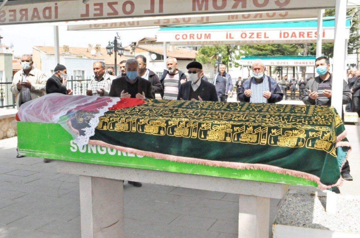 Çorum'da sokak köpeğine çarpmamak için canından oldu