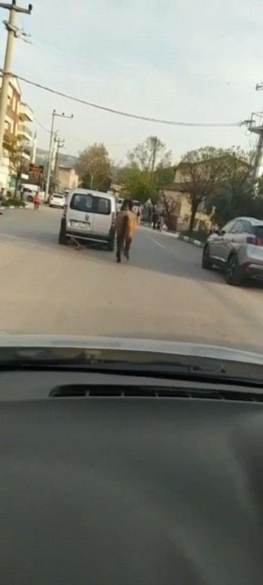 Bursa'da atını aracına bağlayıp böyle çekti