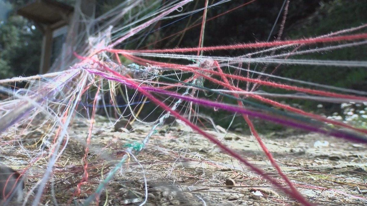 Büyükada geleneği bozulmadı: İp bağlayıp dilek tuttular