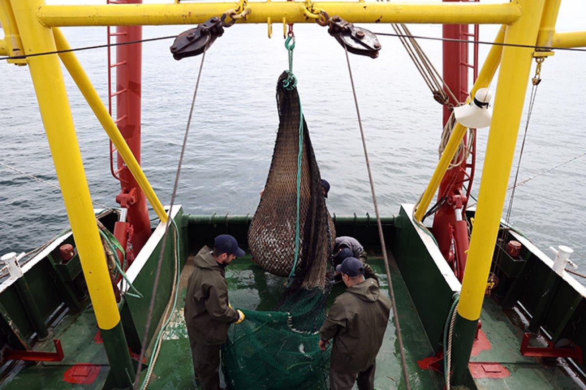 Marmara'da denizin ısınması, müsilaja tekrar sebep olabilir