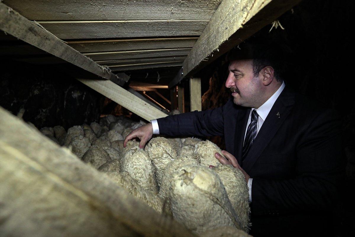 Mustafa Varank, mağarada üretilen Divle Obruk Peyniri'ni inceledi