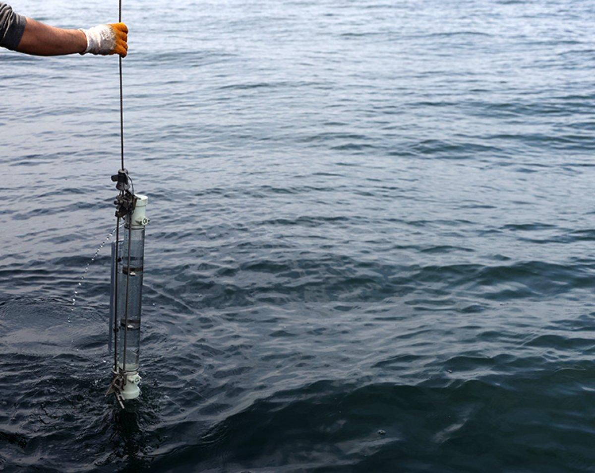 Marmara'da denizin ısınması, müsilaja tekrar sebep olabilir