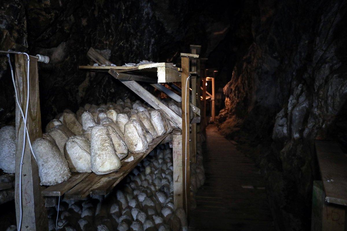 Mustafa Varank, mağarada üretilen Divle Obruk Peyniri'ni inceledi