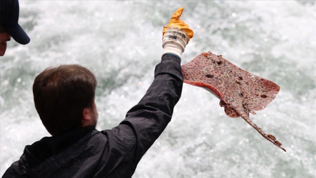 Marmara'da denizin ısınması, müsilaja tekrar sebep olabilir