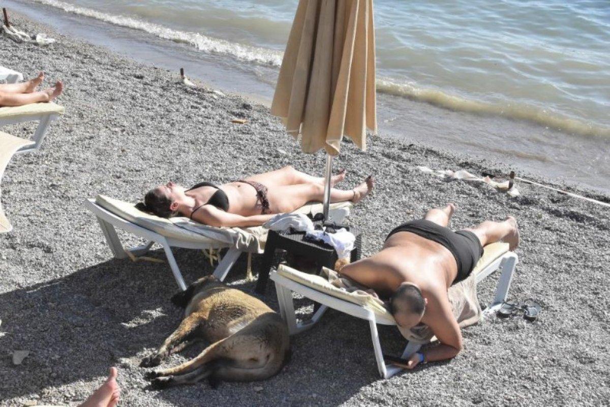 Bodrum'da sezon açıldı: Sahiller doldu