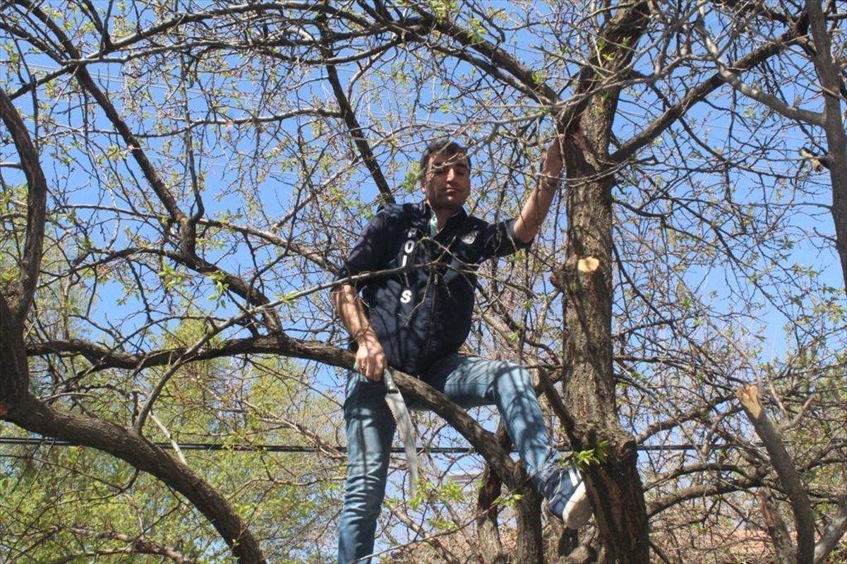 Malatya'da polis ekipleri, yaşlı kadının bahçesini çapaladı