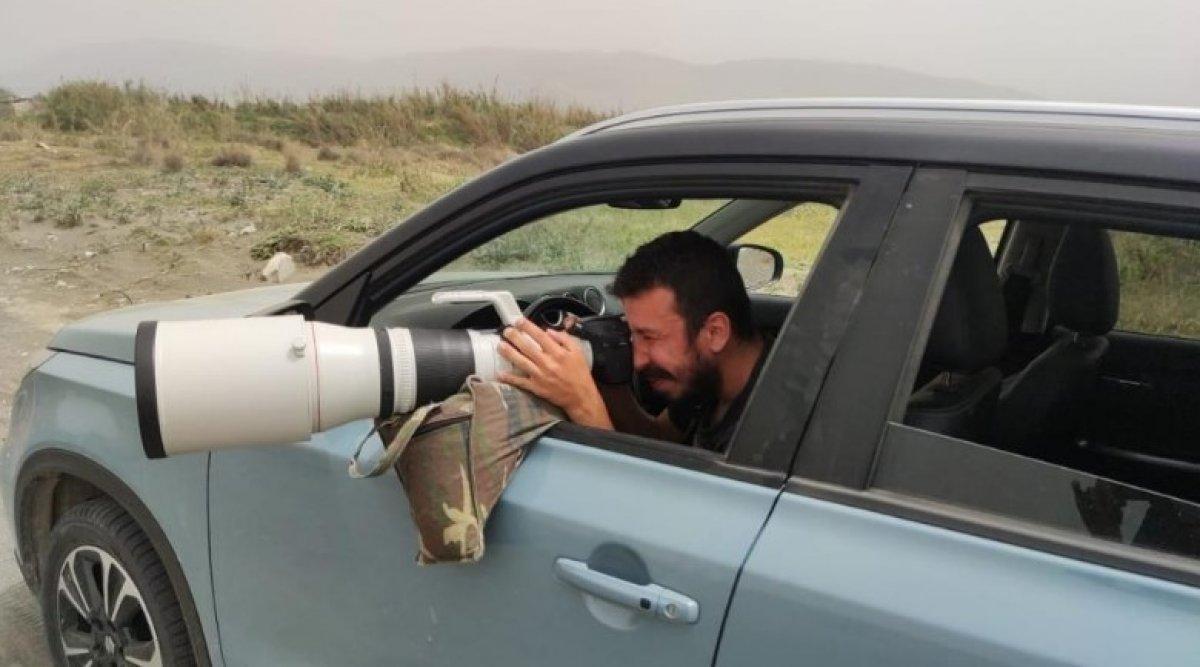 Çöl kulaklı toygarı kuşu Türkiye'de ilk kez Hatay'da görüldü