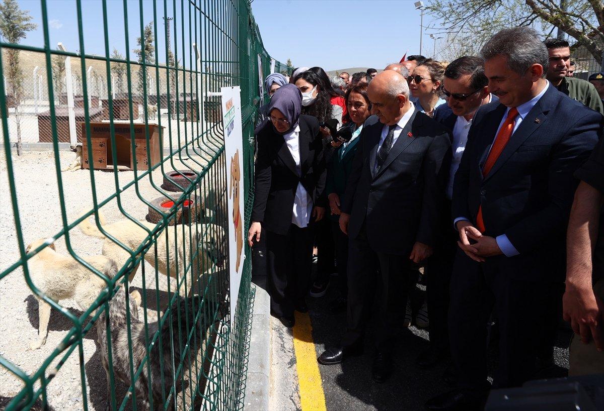 Vahit Kirişci: Sokak hayvanı sayısı 10 milyona ulaştı