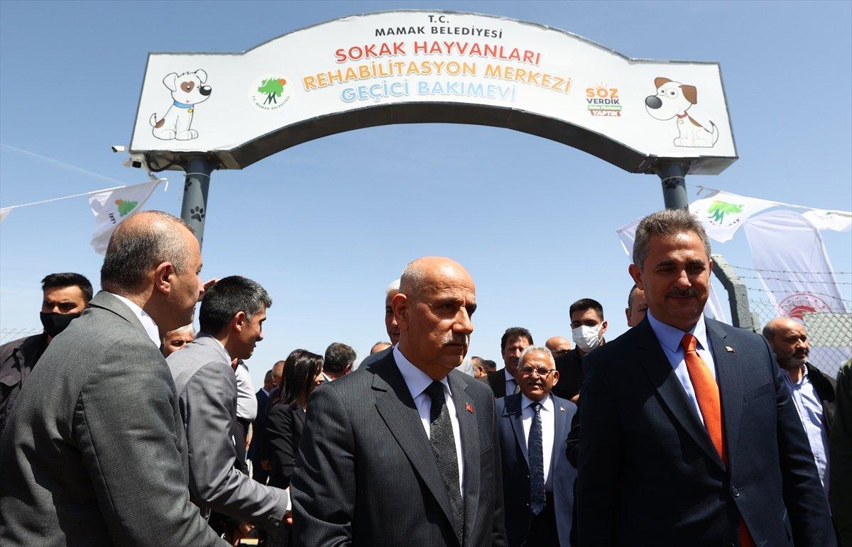 Vahit Kirişci: Sokak hayvanı sayısı 10 milyona ulaştı