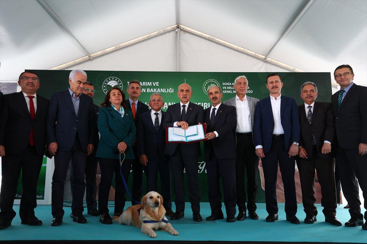 Vahit Kirişci: Sokak hayvanı sayısı 10 milyona ulaştı