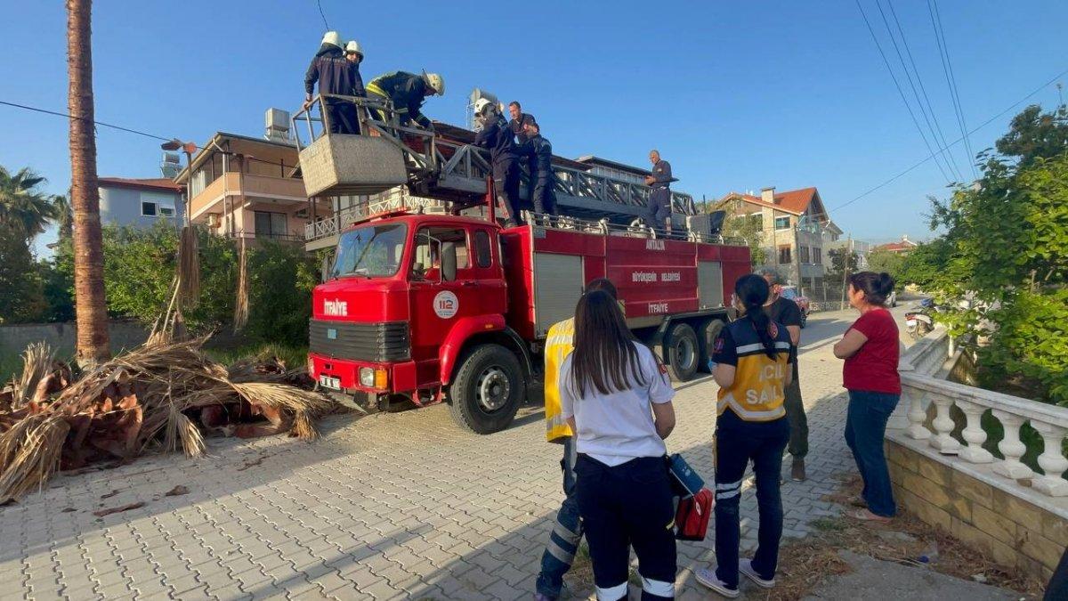 Antalya'da ağacın üstünde hayatını kaybetti