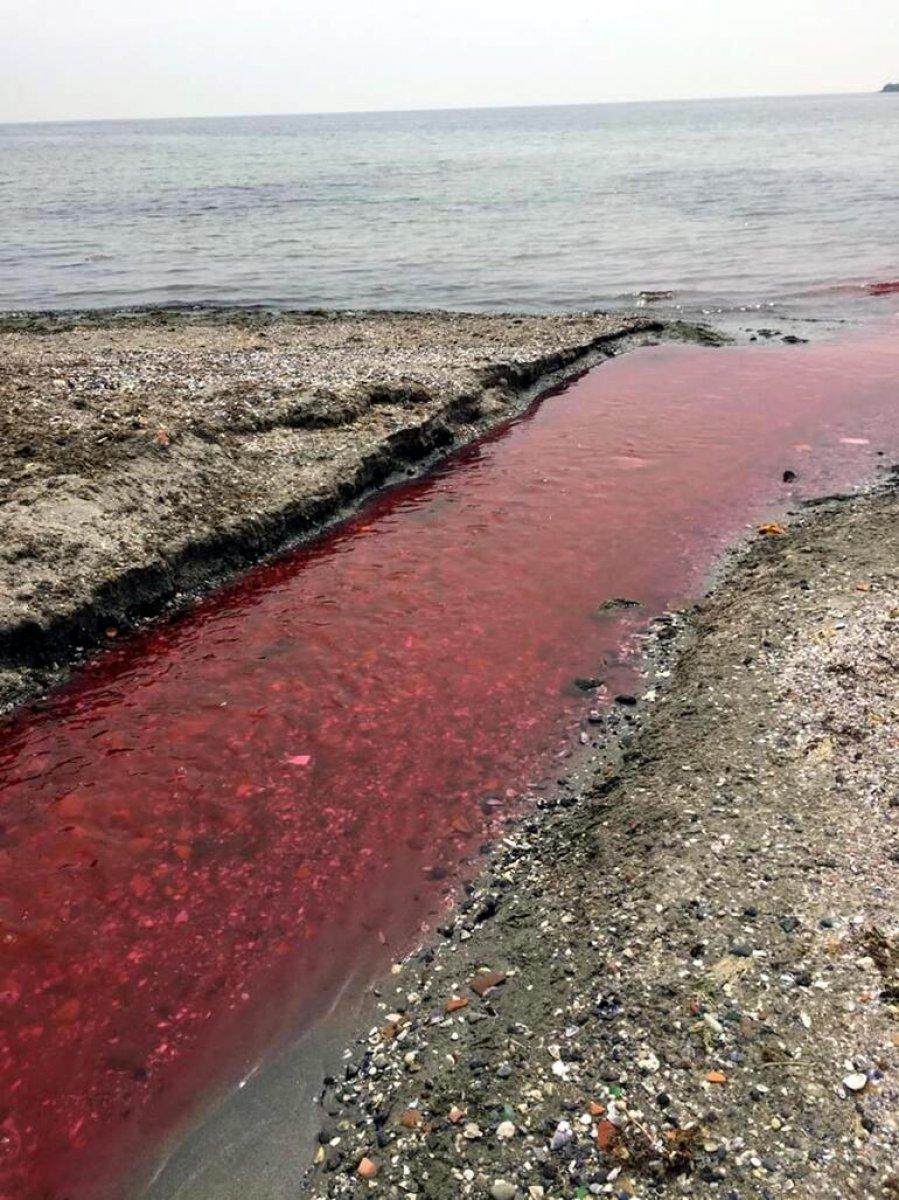 Kamara Deresi'ni kirleten tesisin, deşarj standartlarını aştığı açıklandı