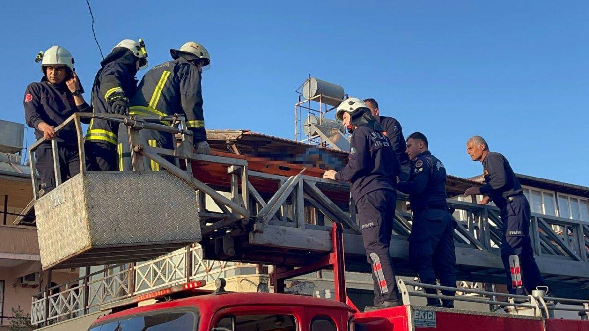 Antalya'da ağacın üstünde hayatını kaybetti