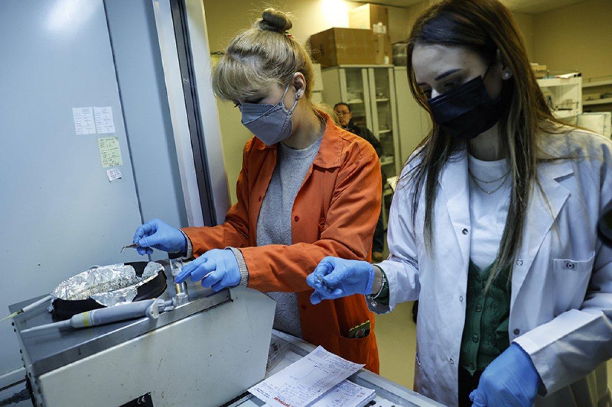 Türk profesör, giyilebilir organik güneş piliyle cep telefonlarını şarj etmeyi amaçlıyor