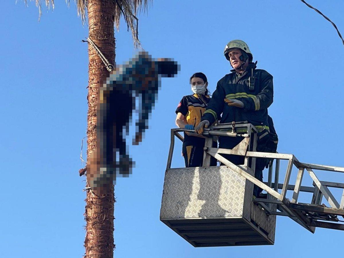 Antalya'da ağacın üstünde hayatını kaybetti