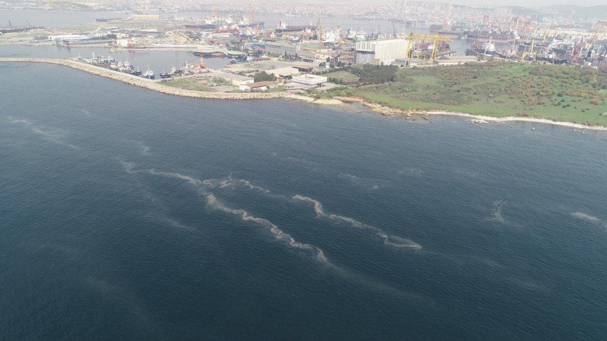 İstanbul’da müsilaj her geçen dakika artıyor