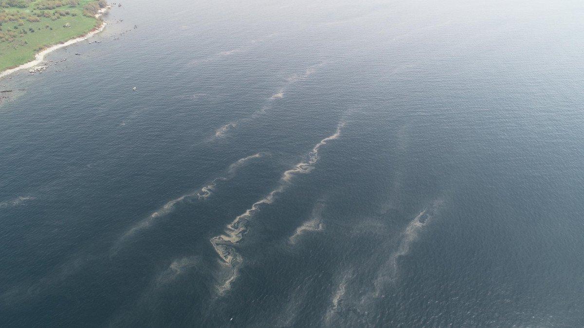 İstanbul’da müsilaj her geçen dakika artıyor