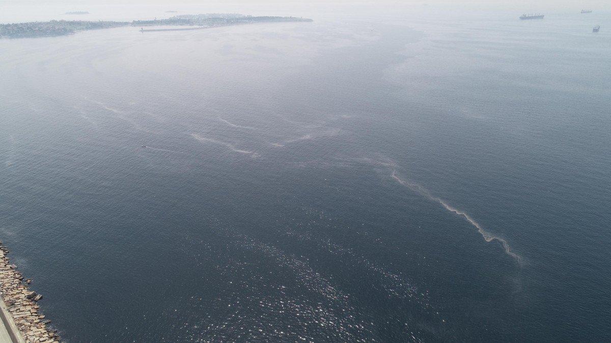 İstanbul’da müsilaj her geçen dakika artıyor