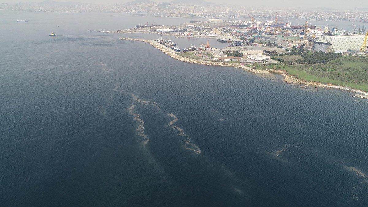 İstanbul’da müsilaj her geçen dakika artıyor