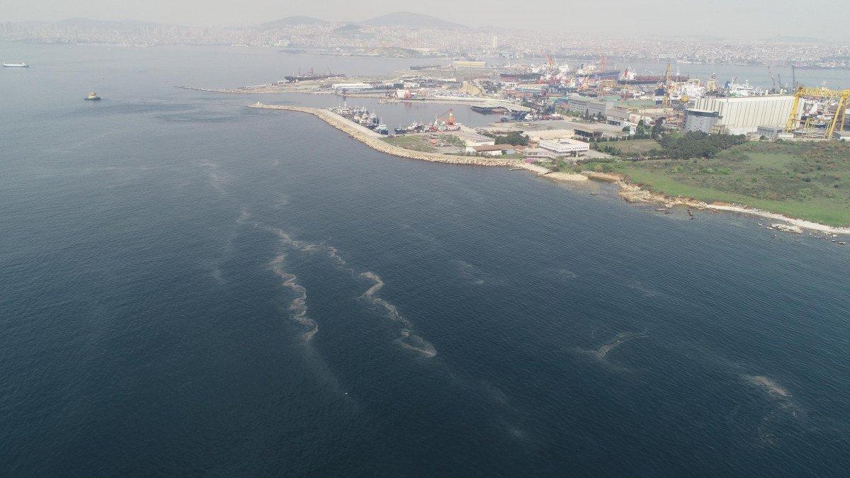 İstanbul’da müsilaj her geçen dakika artıyor