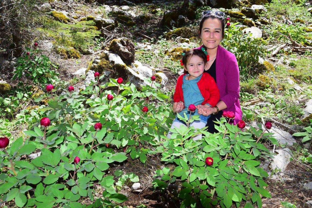 Antalya'da, koruma altındaki şakayıkları koparmanın cezası 109 bin 593 TL