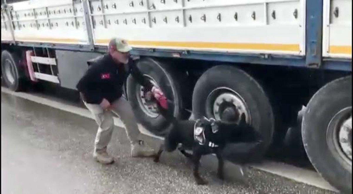 Gaziantep’te, tırda 110 kilodan fazla esrar bulundu