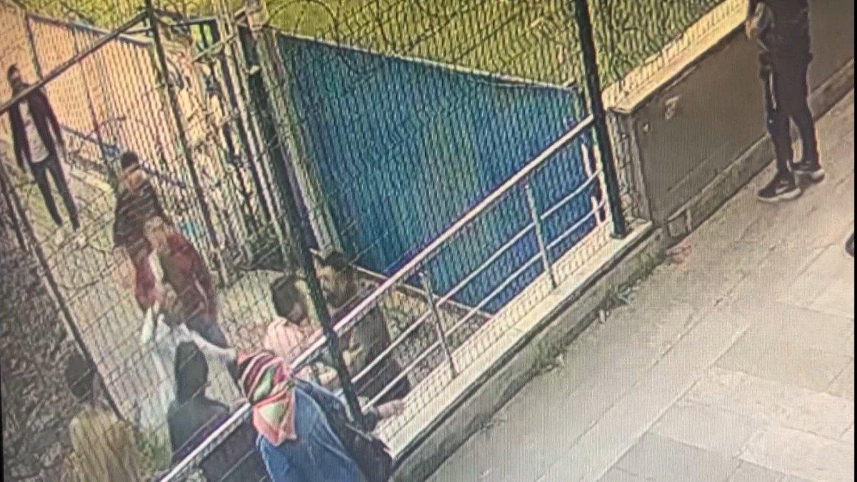 Pendik’te, çocukların maçında çocukları satır ve sopalarla darbettiler
