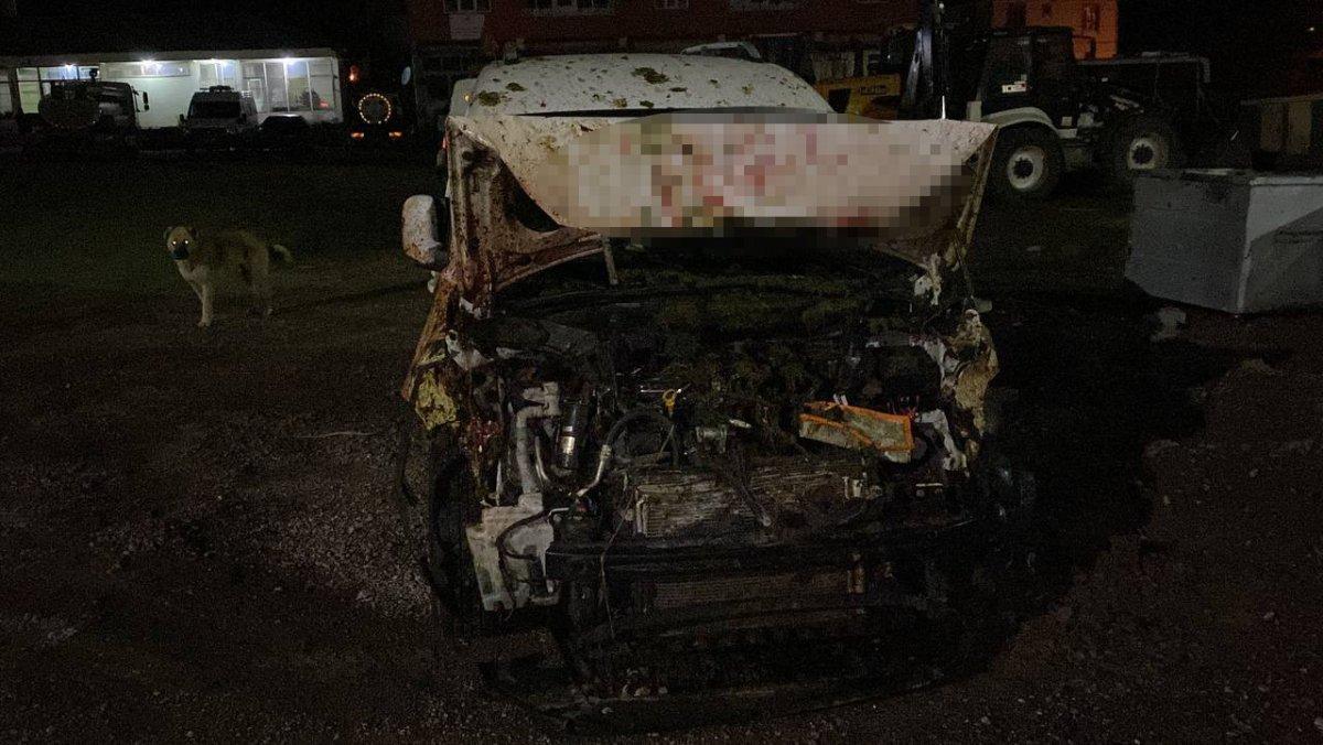 Bingöl'de bir araç sürüye çarptı: 50 koyun telef oldu