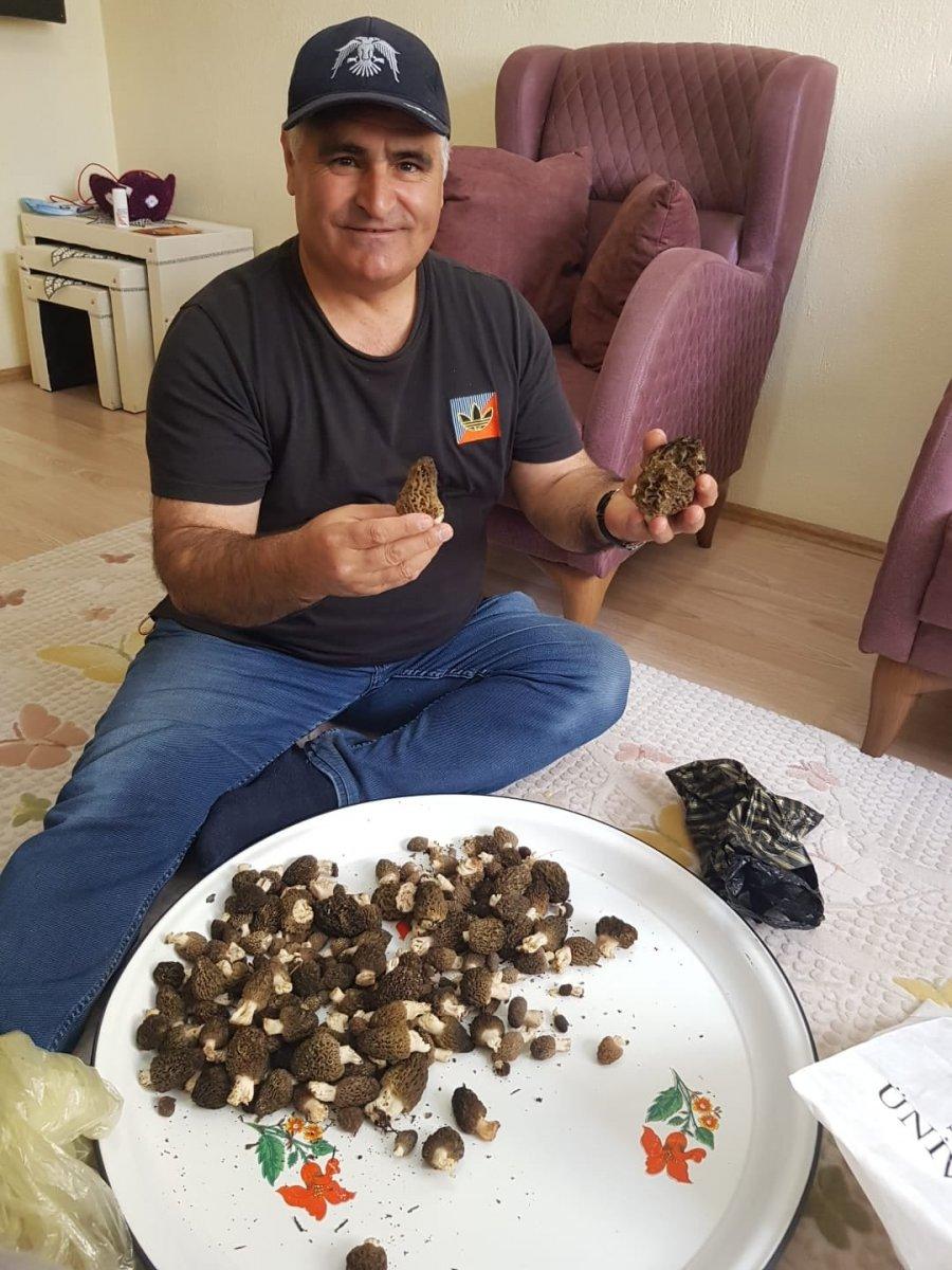 Kuzugöbeği orman köylüsünün geçim kaynağı