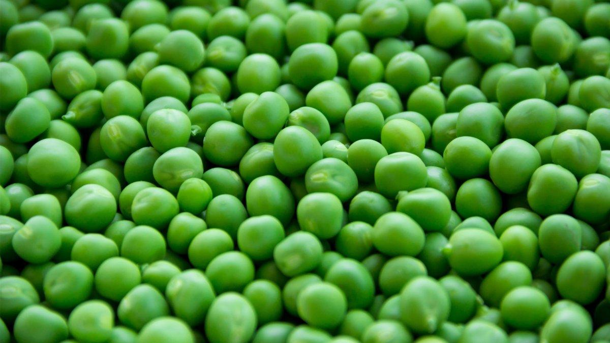 İstanbul'da nisan ayında en çok takım elbise pahalandı