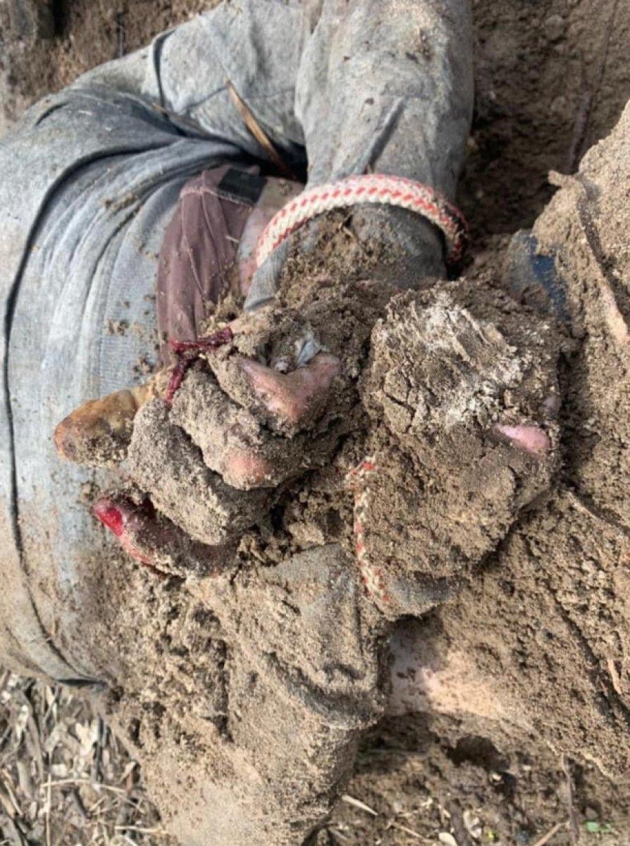 Elleri bağlanarak gömülen 2 Ukraynalının fotoğrafı paylaşıldı