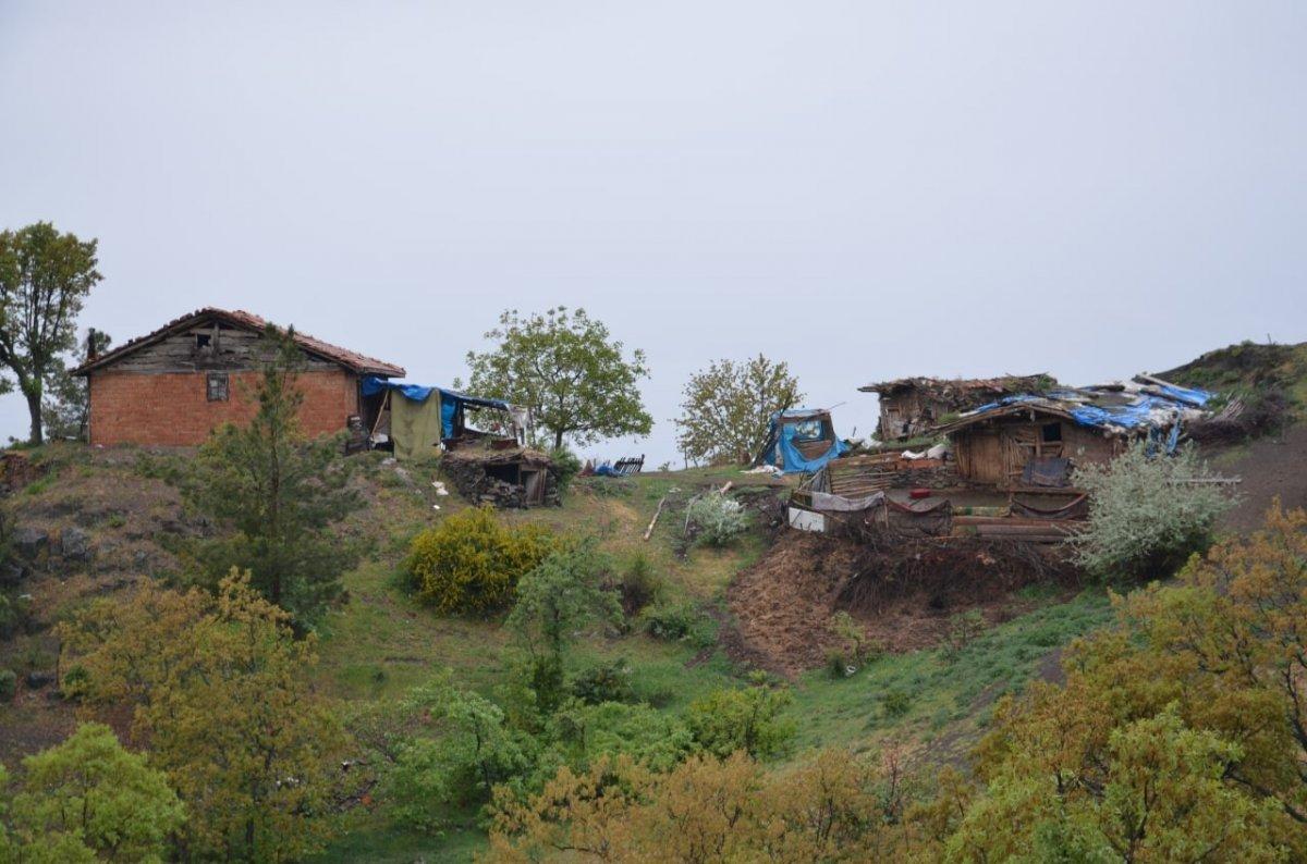 Çorum'da köye inen kurt sürüsü 24 hayvanı telef etti