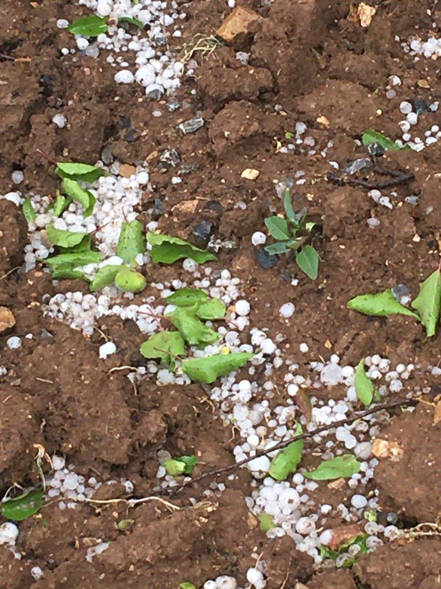 Malatya'da şiddetli sağanak etkili oldu