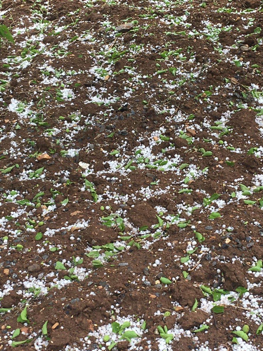 Malatya'da şiddetli sağanak etkili oldu