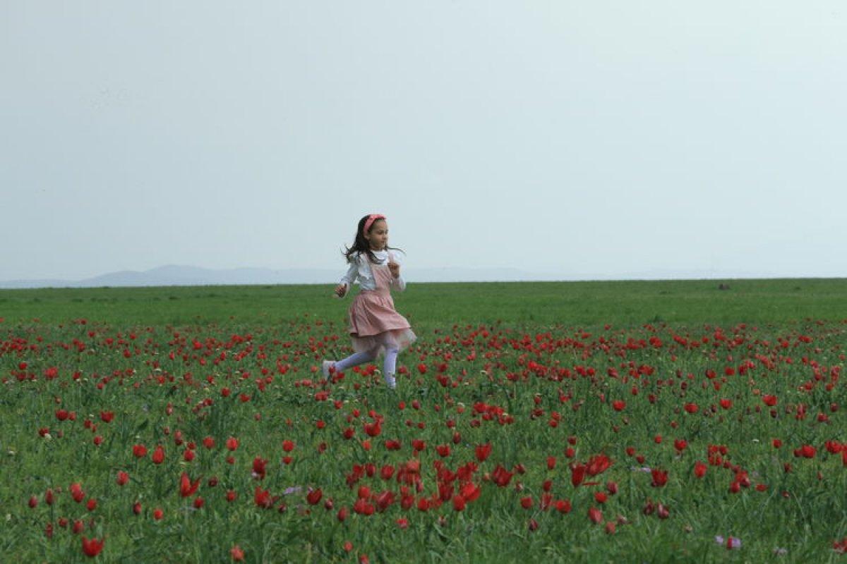 Bingöl Ovası'ndaki Çır Şelalesi ve çiçekler, doğaseverleri karşılıyor