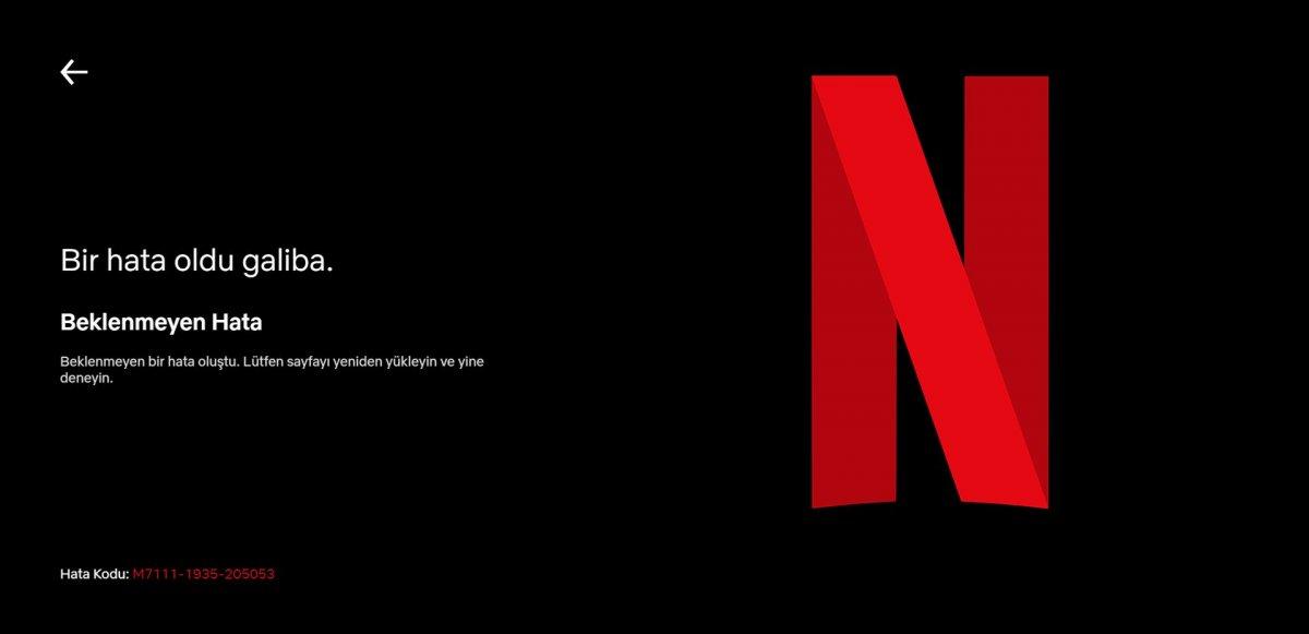 Netflix hissedarları abone krizini yargıya taşıdı