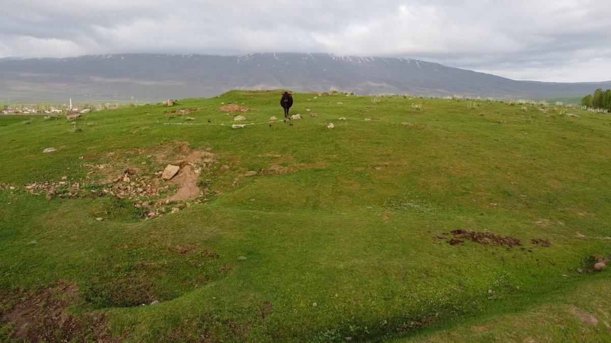 Bitlis'te mahsur kalan inek, drone sayesinde kurtarıldı