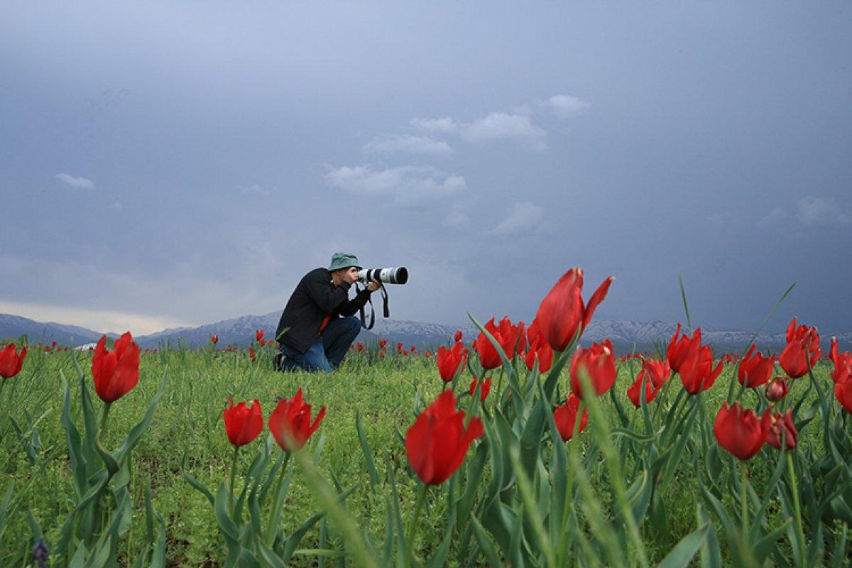 Bingöl Ovası'ndaki Çır Şelalesi ve çiçekler, doğaseverleri karşılıyor