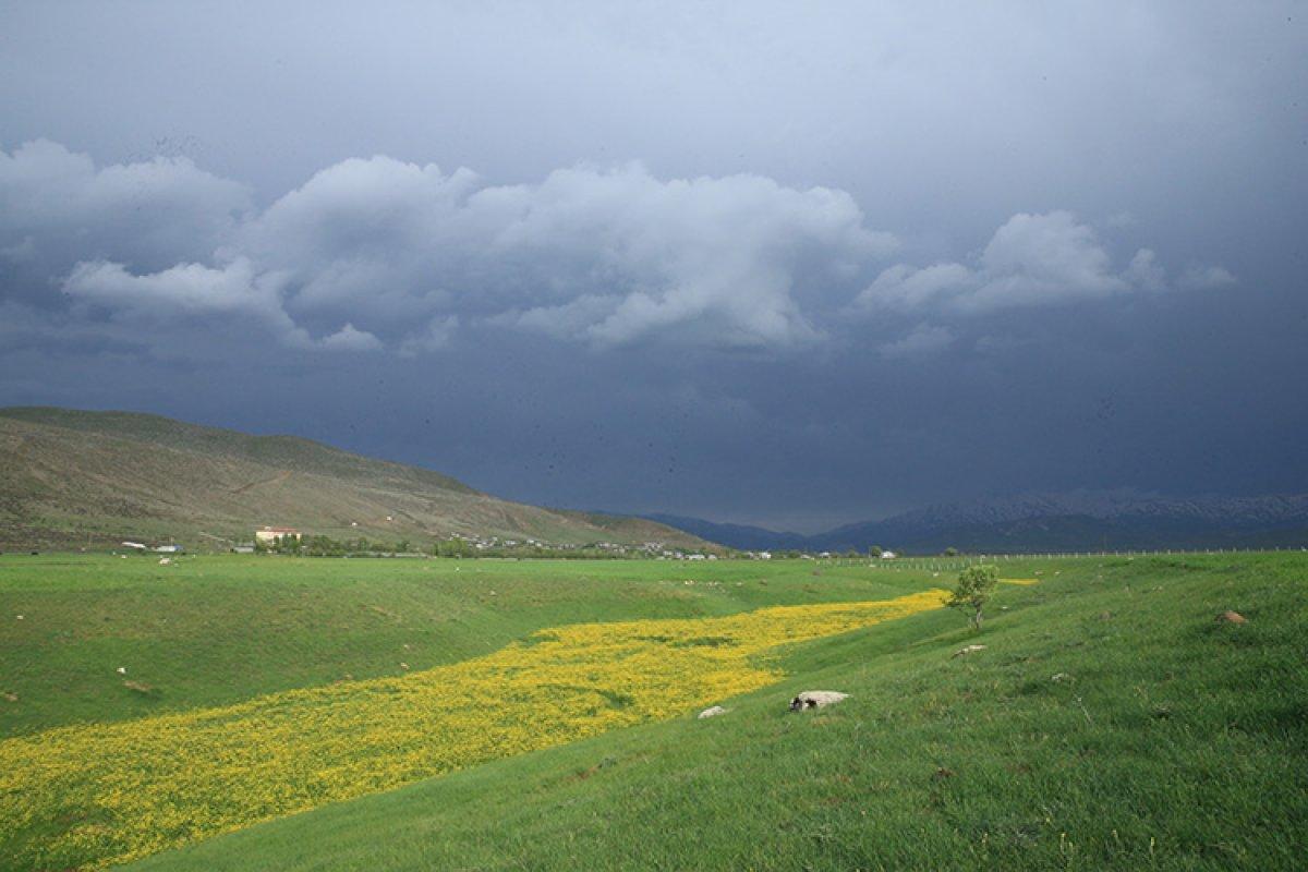 Bingöl Ovası'ndaki Çır Şelalesi ve çiçekler, doğaseverleri karşılıyor