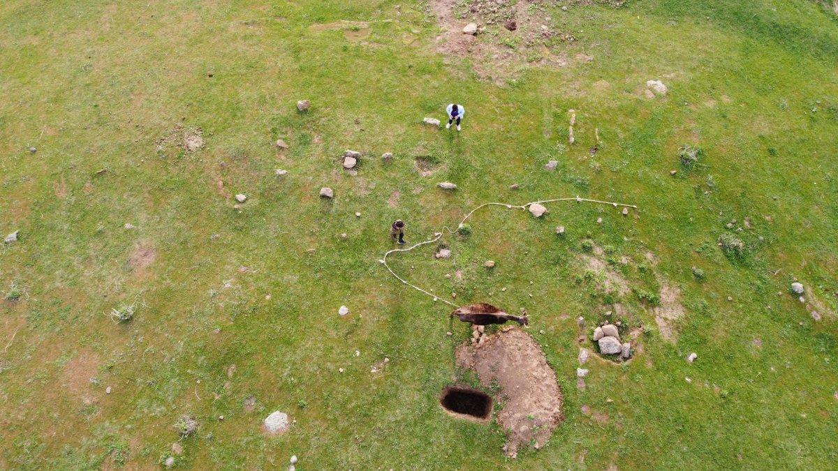 Bitlis'te mahsur kalan inek, drone sayesinde kurtarıldı