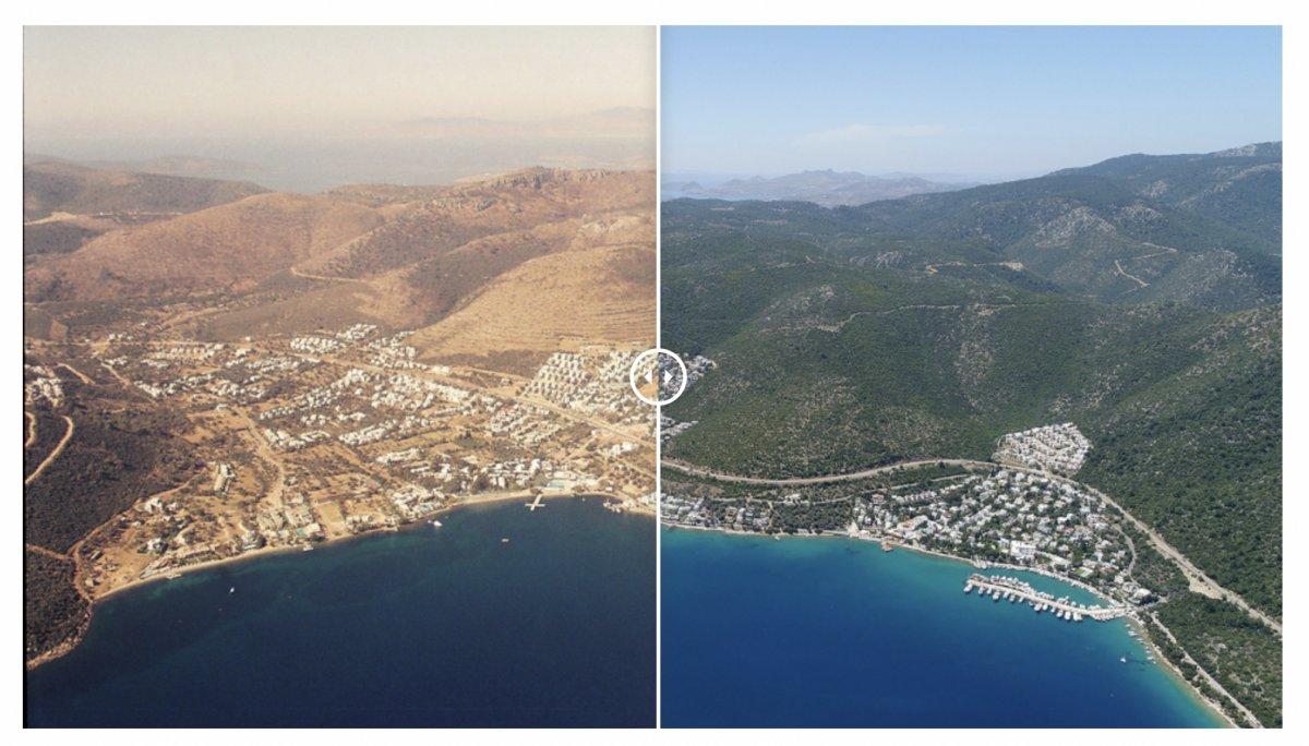 Yangınlarda zarar gören 13 bölge yeniden yeşerdi