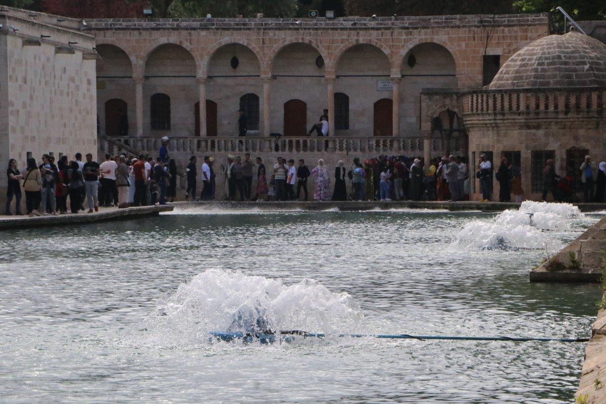 Balıklıgöl'de ölümler arttı, balıklar azaldı