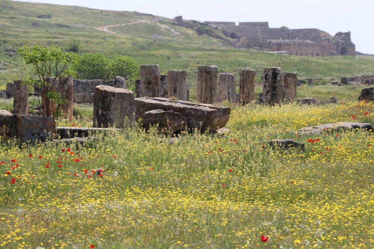Pamukkale'ye Ramazan Bayramı'nda 34 bin 220 kişi geldi