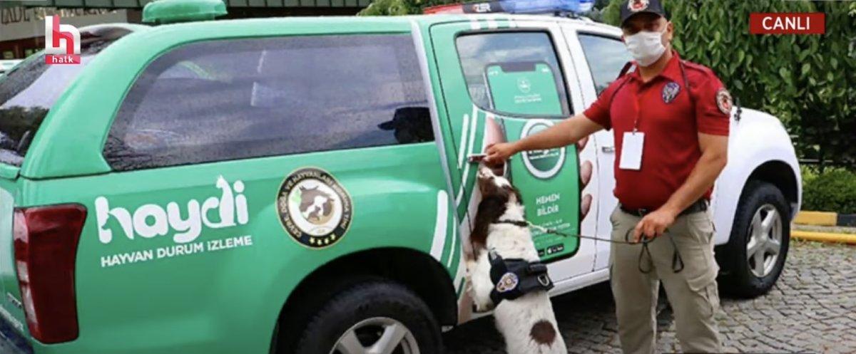 İçişleri Bakanlığı önündeki hayvan izleme aracı