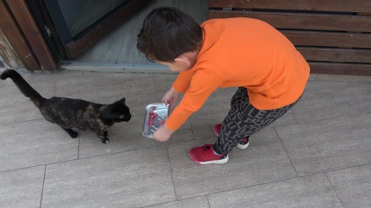 Büyükada’da 4 yaşındaki çocuğu ‘engelli’ diyerek kreşten attılar