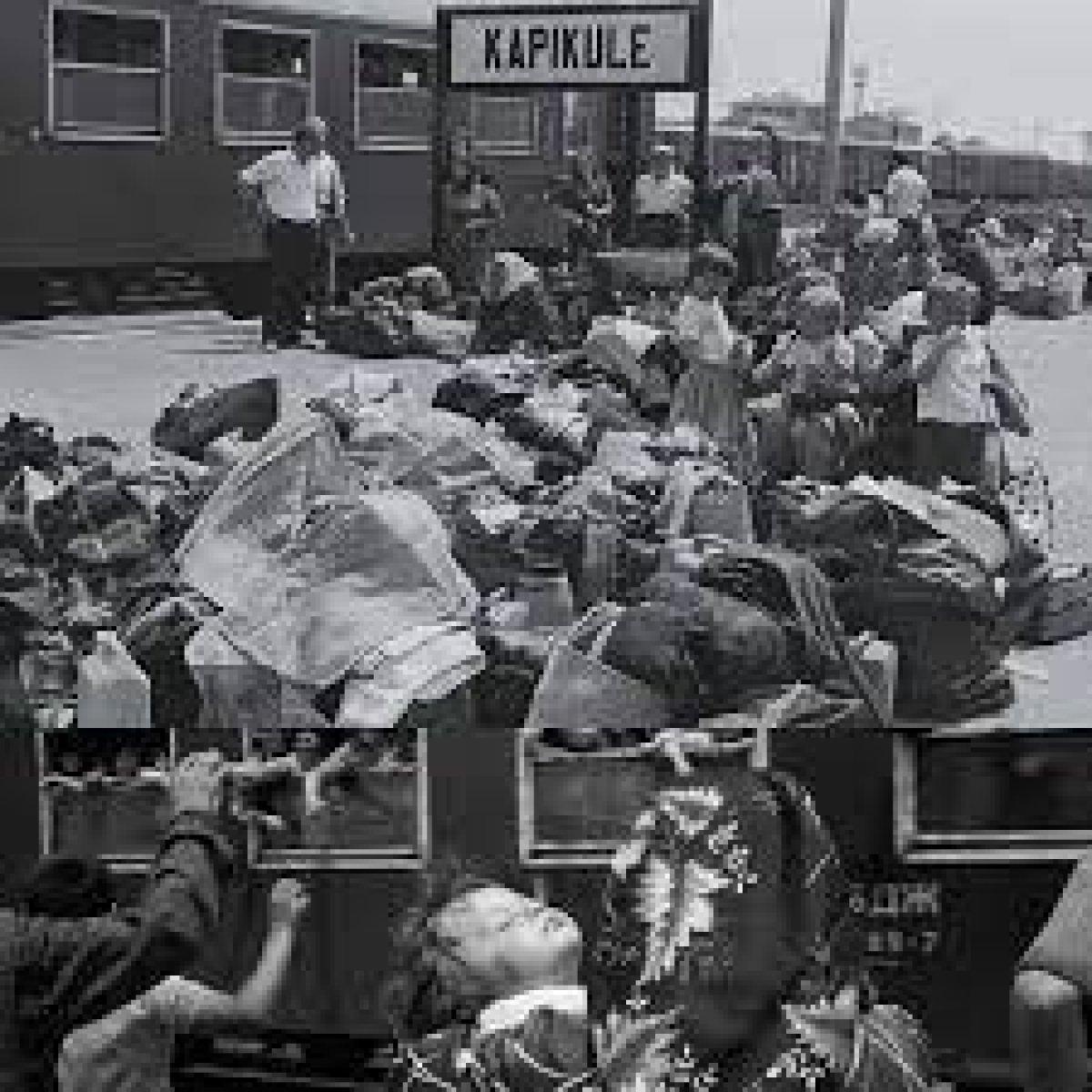 Vakanüvis, Türkiye'ye gelen göçlerin tarihini yazdı