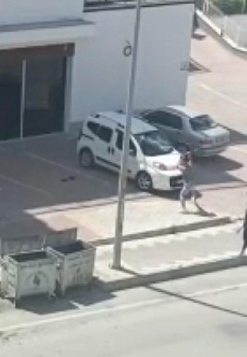 Kuşadası’nda spor salonu sahibi ile müşteriler arasında kavga