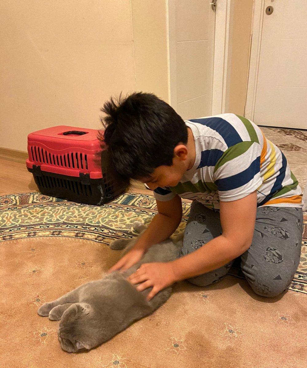 Esenyurt’ta hırsız çaldığı kediyi taksiyle geri gönderdi