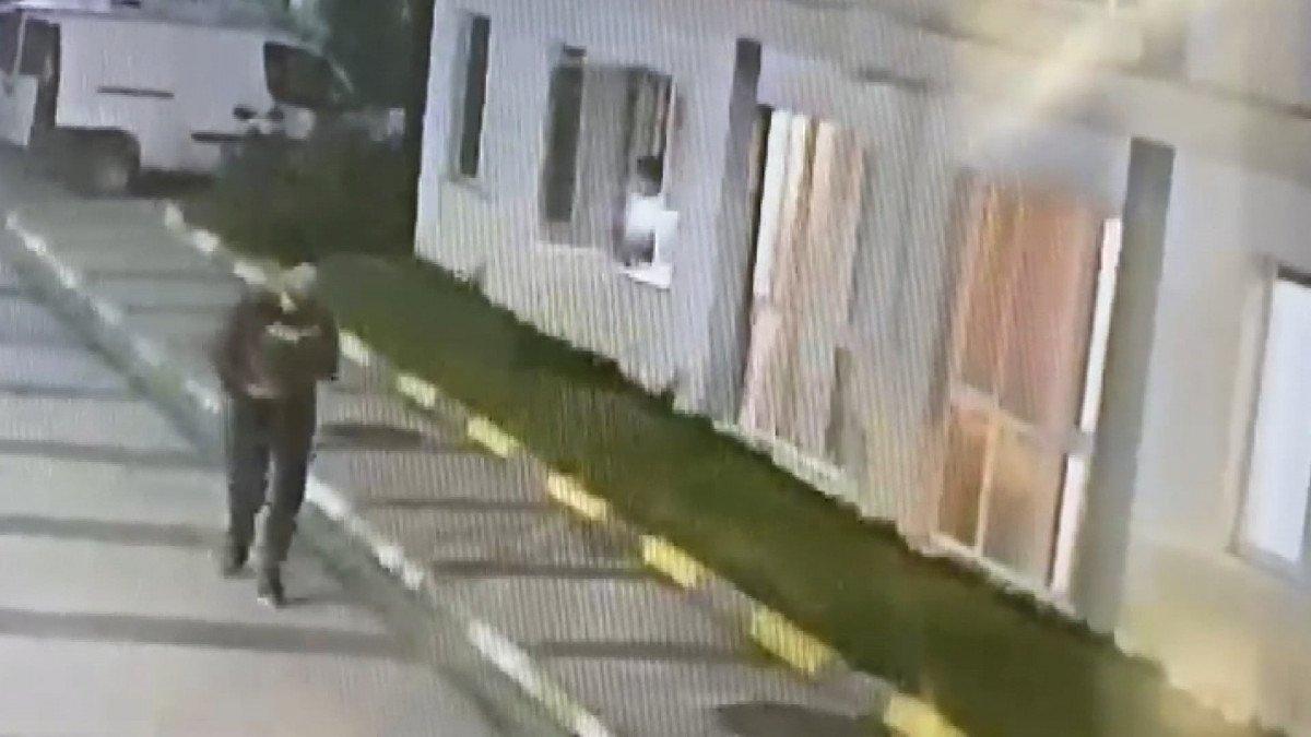 Esenyurt’ta hırsız çaldığı kediyi taksiyle geri gönderdi