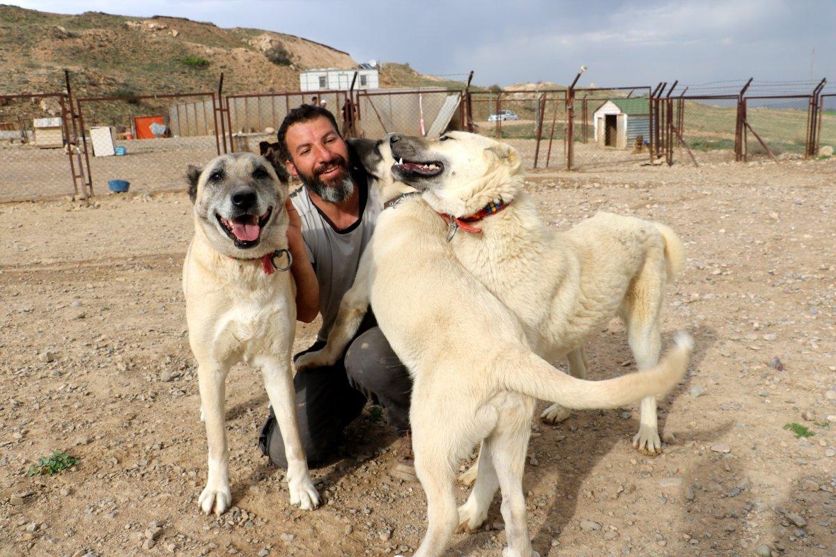 Kangalların başka ırklarda olmayan, karakteristik özelliği: Aile içi çiftleşme yok
